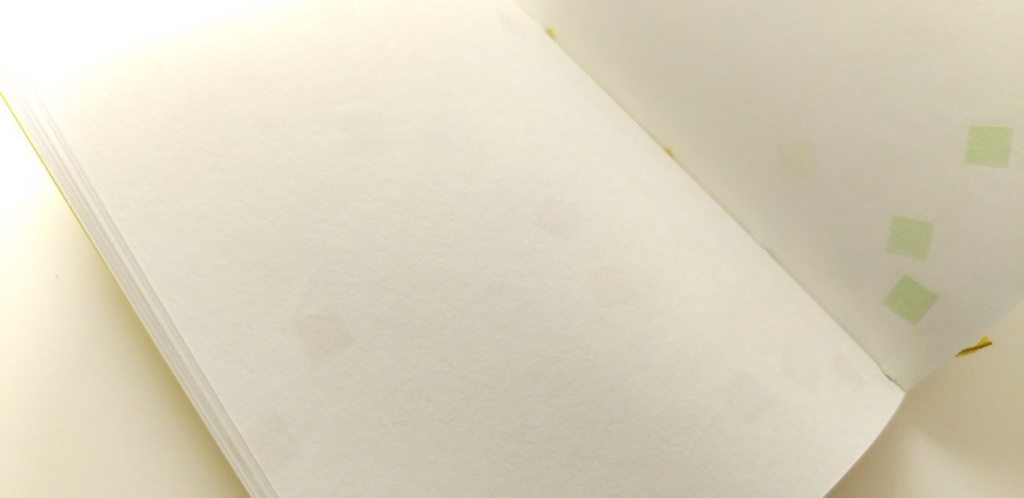 紙たくさん!A6【192】梨の産地便-TOTTORI-