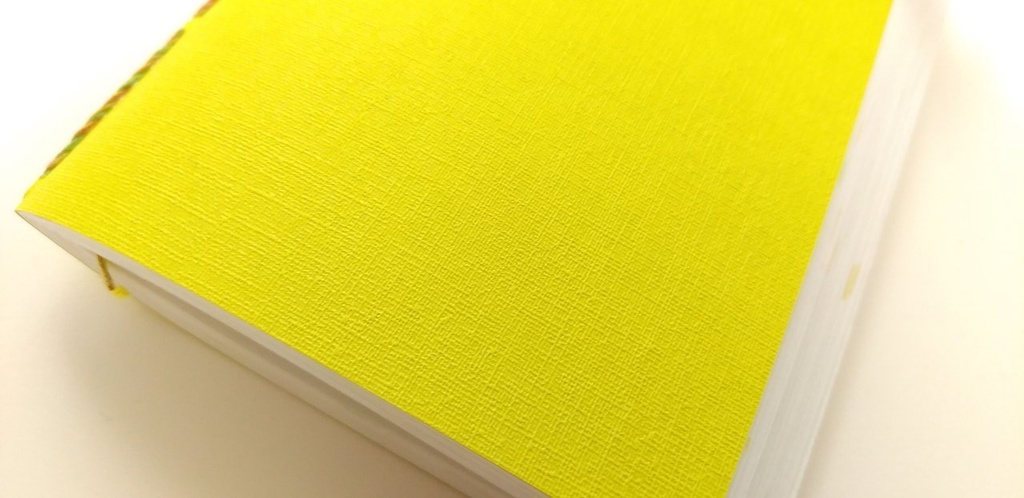 紙たくさん!A6【192】梨の産地便-TOTTORI-