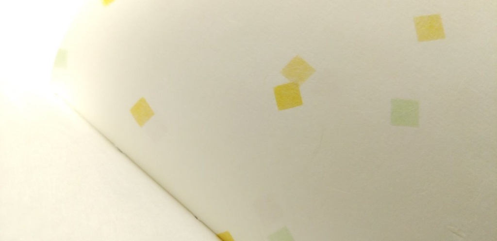 紙たくさん!A6【192】梨の産地便-TOTTORI-