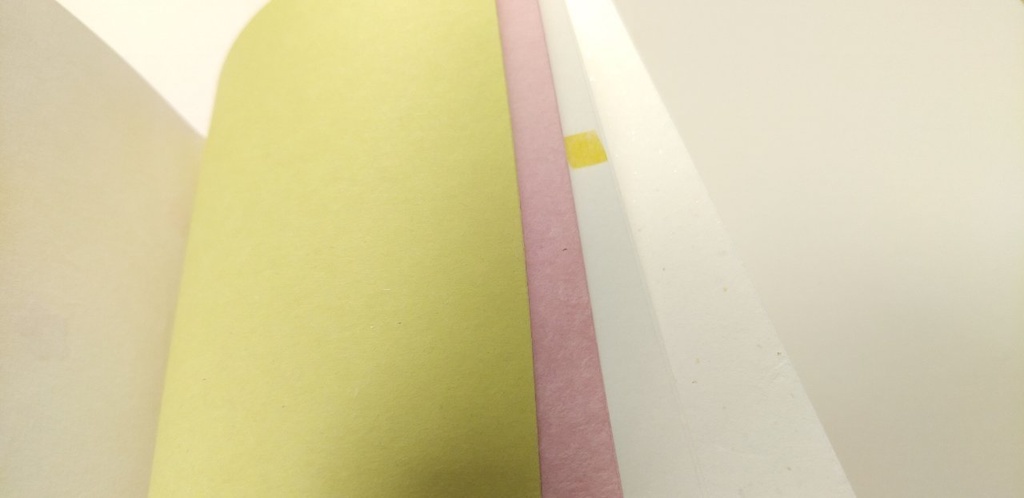 A6ノート【柿渋】食いしん坊の食レポ