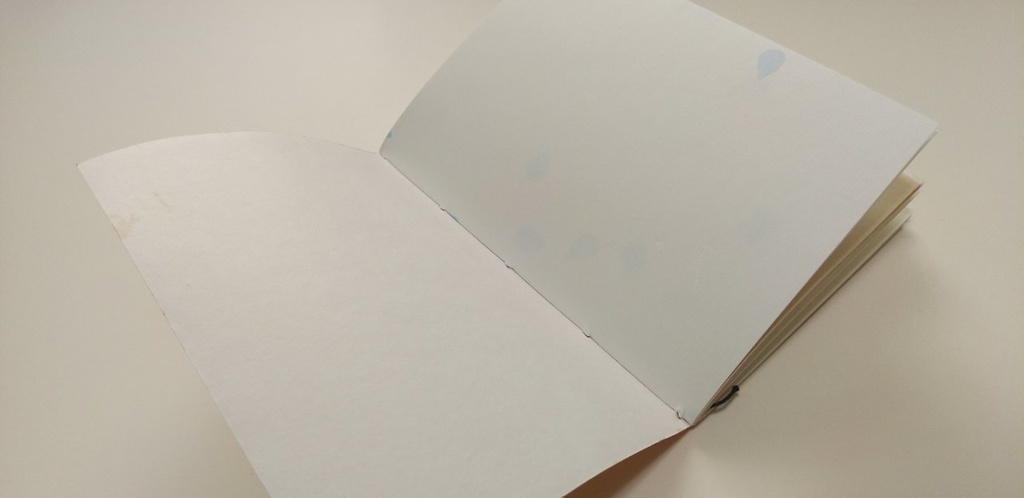 A6ノート【柿渋】食いしん坊の食レポ