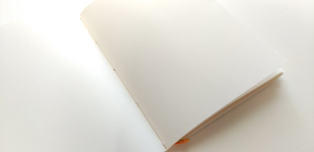 A6【ぼてぼて】ニワトリ思考でさあ踊りましょう