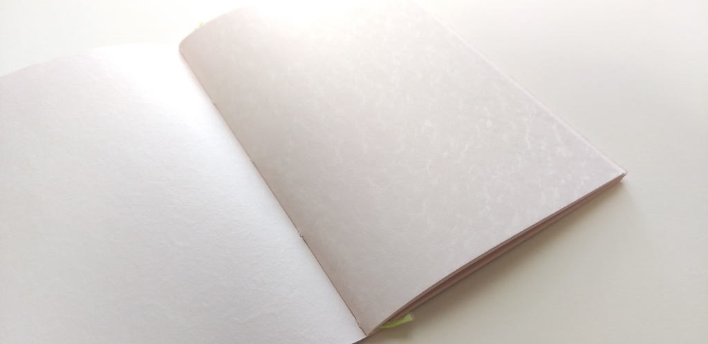 A6【ぼてぼて】迷走フライト