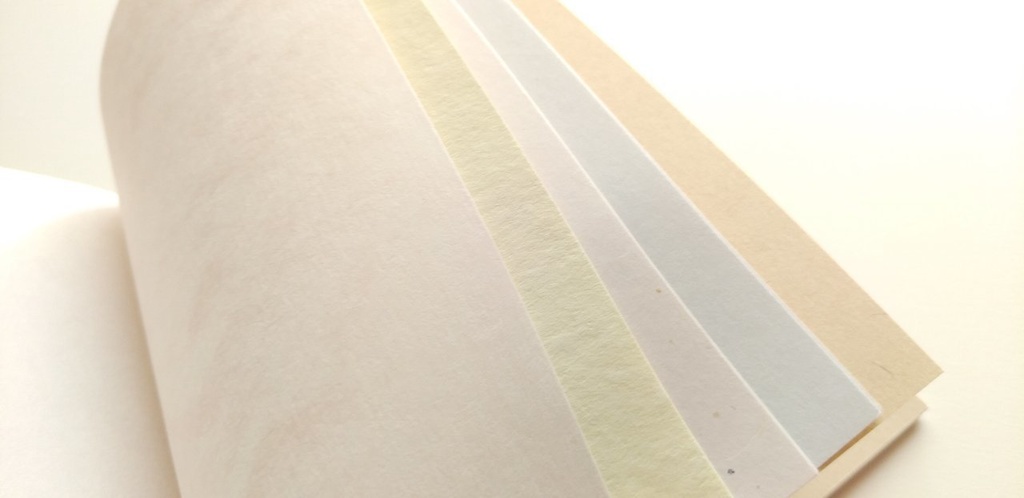 A6【ぼてぼて】ブルーベリーアイスは1カップを半分こ