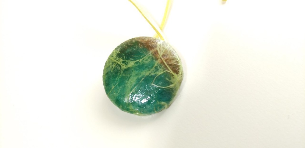 「舞情」【私に喝采!2021】新春企画