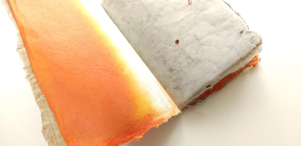 「脈」【私に喝采!2021】新春企画