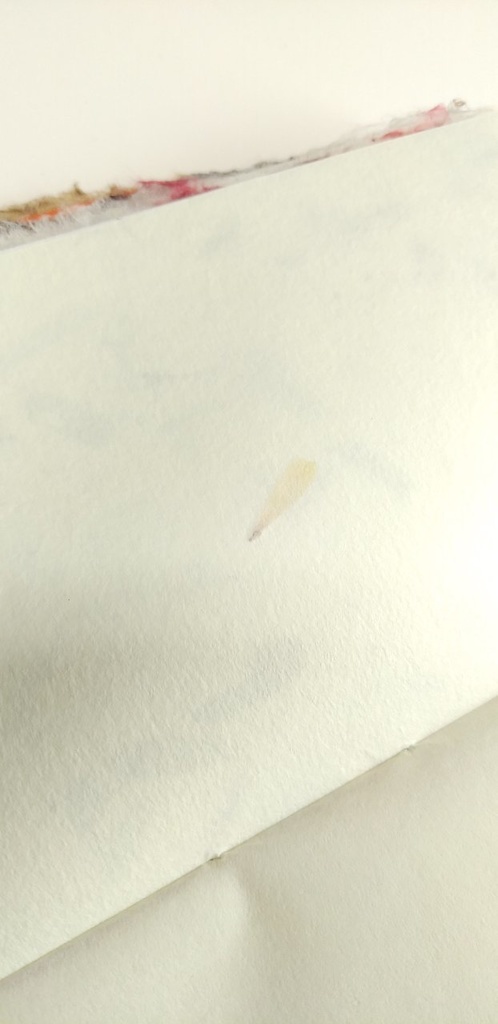 「脈」【私に喝采!2021】新春企画