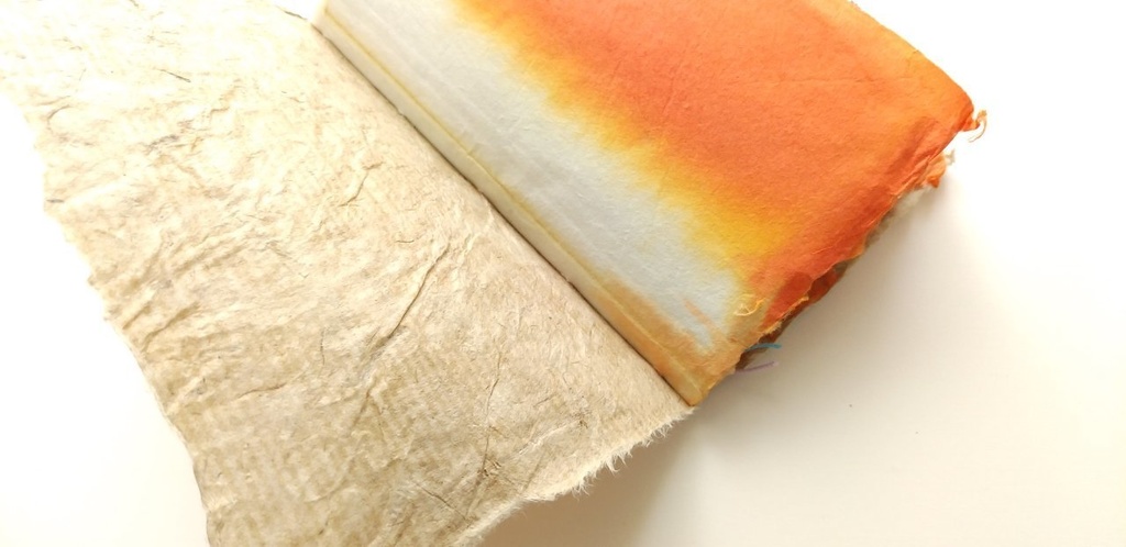 「脈」【私に喝采!2021】新春企画