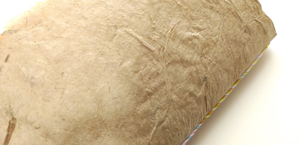 「脈」【私に喝采!2021】新春企画