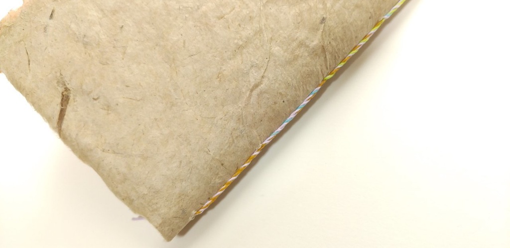 「脈」【私に喝采!2021】新春企画