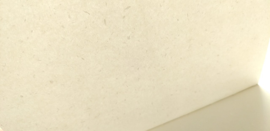 A5ノート【薄手 Re.】「森でくまさんにであった日」紙たくさんノート!