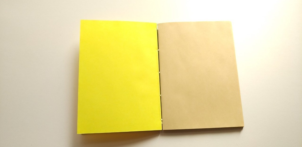 A6ノート【旅人】神獣、降り立つ