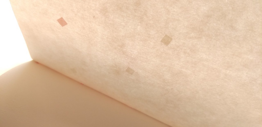 A6ノート 伝えたいことがあるんだ【紙たくさん!ノート】