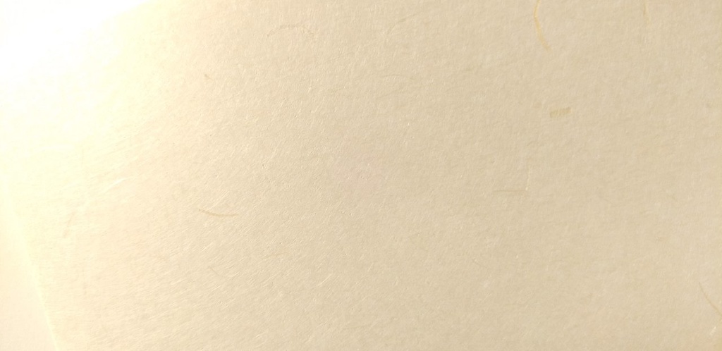 A6ノート 伝えたいことがあるんだ【紙たくさん!ノート】