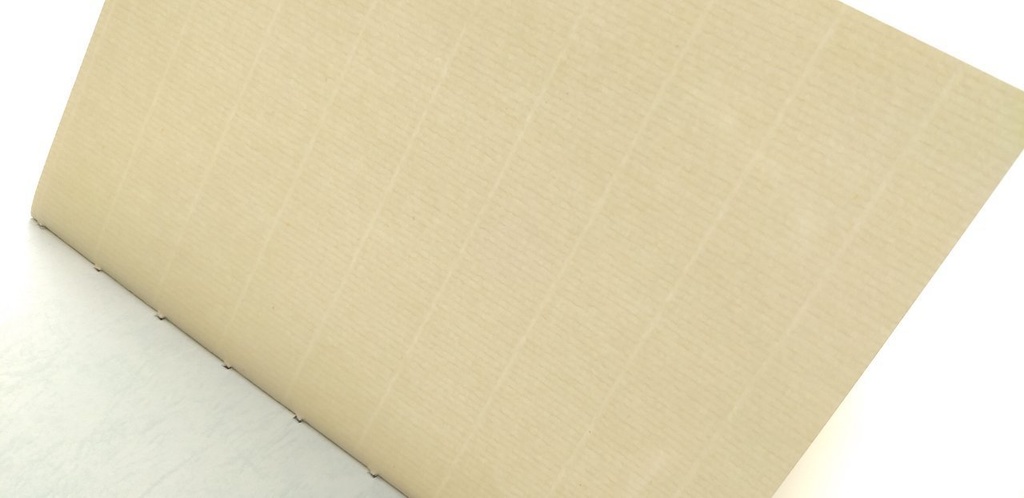 A5ノート【薄手 Re.】「待てないピクニック」紙たくさんノート!