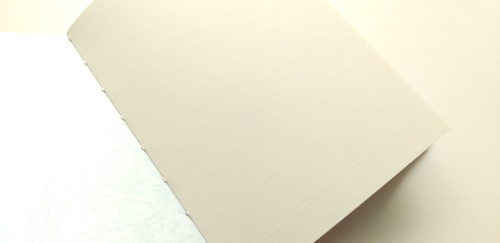 A5ノート【薄手 Re.】「待てないピクニック」紙たくさんノート!