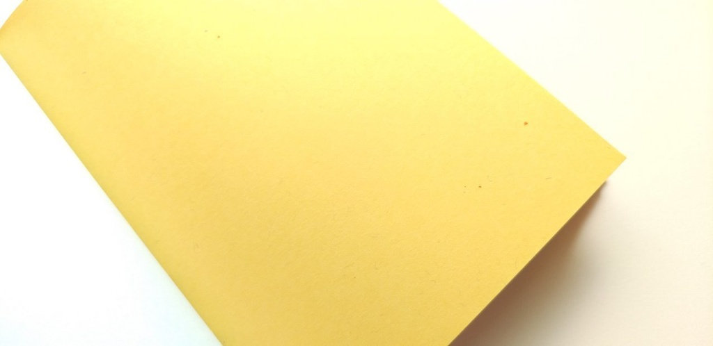 A5ノート【薄手 Re.】「待てないピクニック」紙たくさんノート!