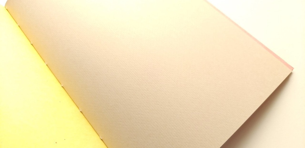 A5ノート【薄手 Re.】「待てないピクニック」紙たくさんノート!