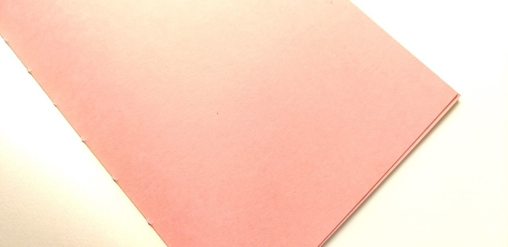 A5ノート【薄手 Re.】「待てないピクニック」紙たくさんノート!