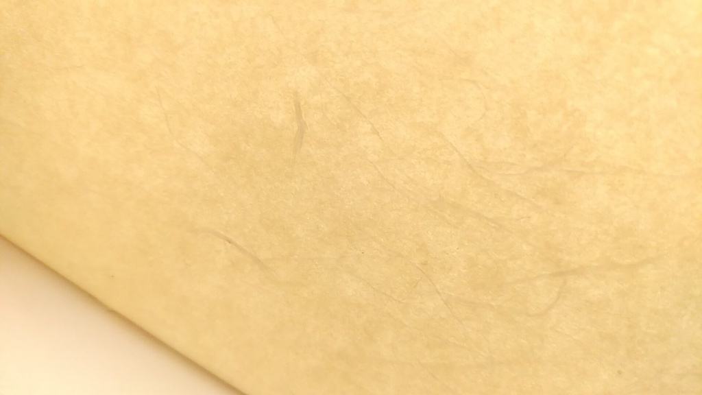 A6ノート 「泡と命」【紙たくさん!ノート】