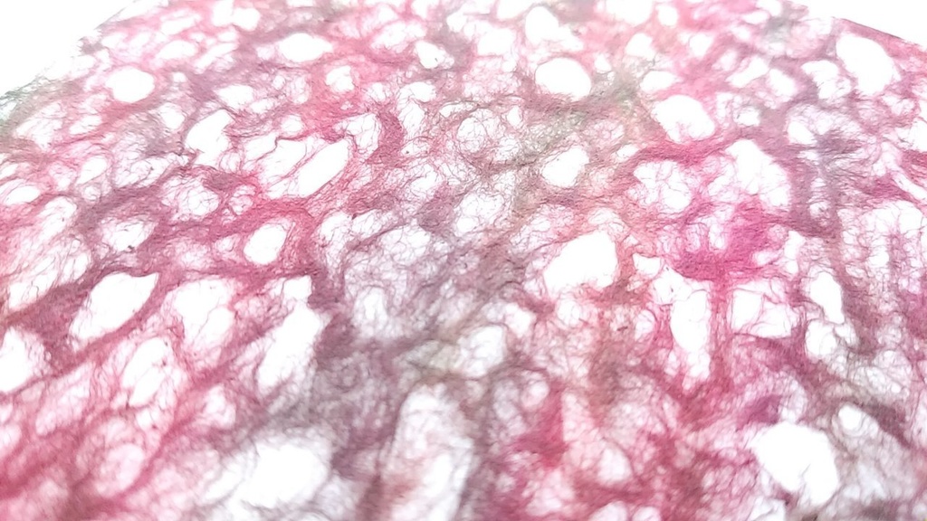 A6ノート【旅人】growing