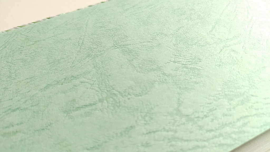 A6ノート 「竹林におよぐ」【紙たくさん!ノート】