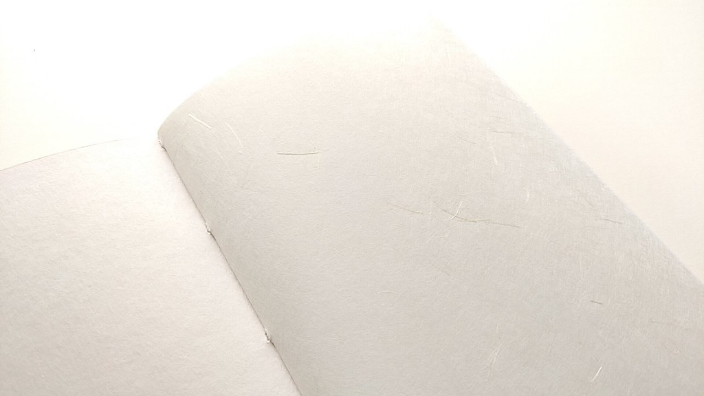 A6ノート 「白球のゆくえ」【紙たくさん!ノート】