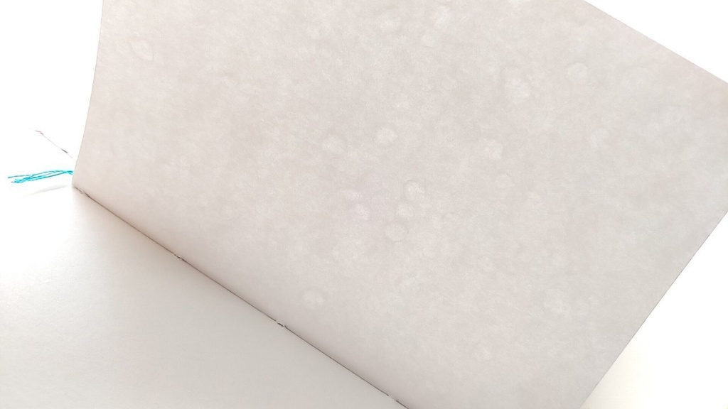 A6ノート 「足元の宝物探し」【紙たくさん!ノート】