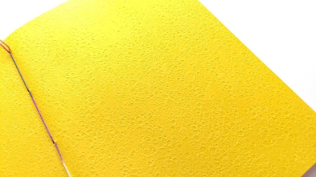 A6ノート【旅人】しゃけ!!うめ!!のりっ!!