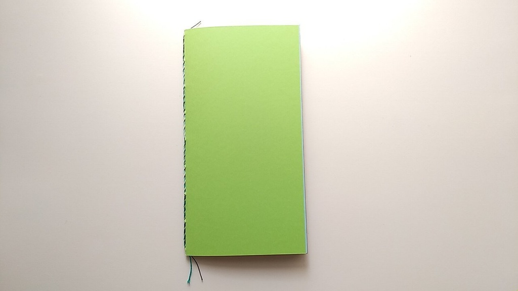 【traveler's レギュラー20P】「カエルのうた」