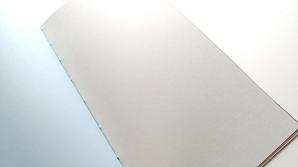 【traveler's レギュラー20P】「カエルのうた」