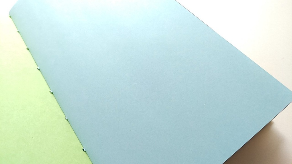 【traveler's レギュラー20P】「カエルのうた」