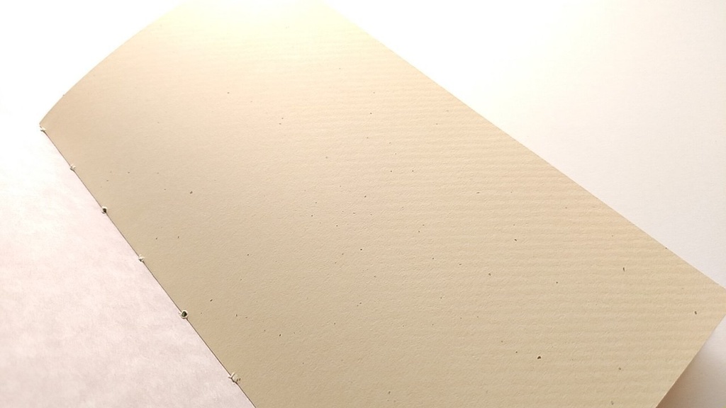 【traveler's レギュラー20P】「カエルのうた」