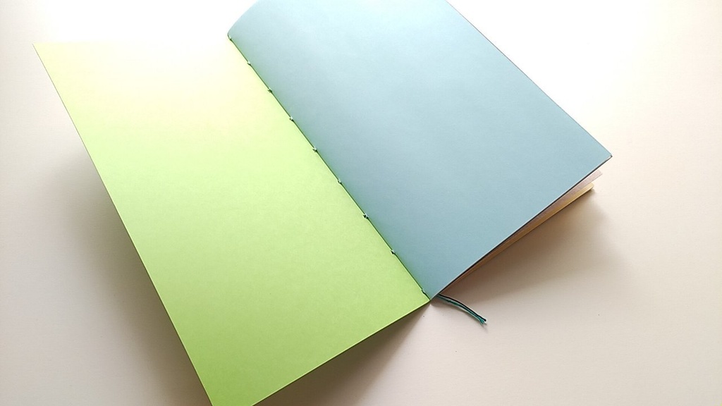 【traveler's レギュラー20P】「カエルのうた」