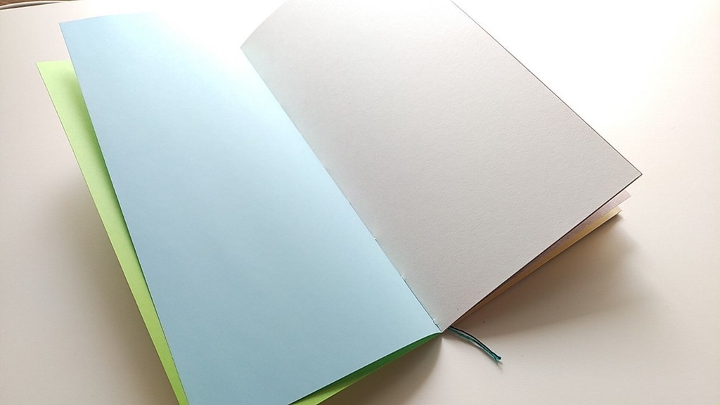 【traveler's レギュラー20P】「カエルのうた」