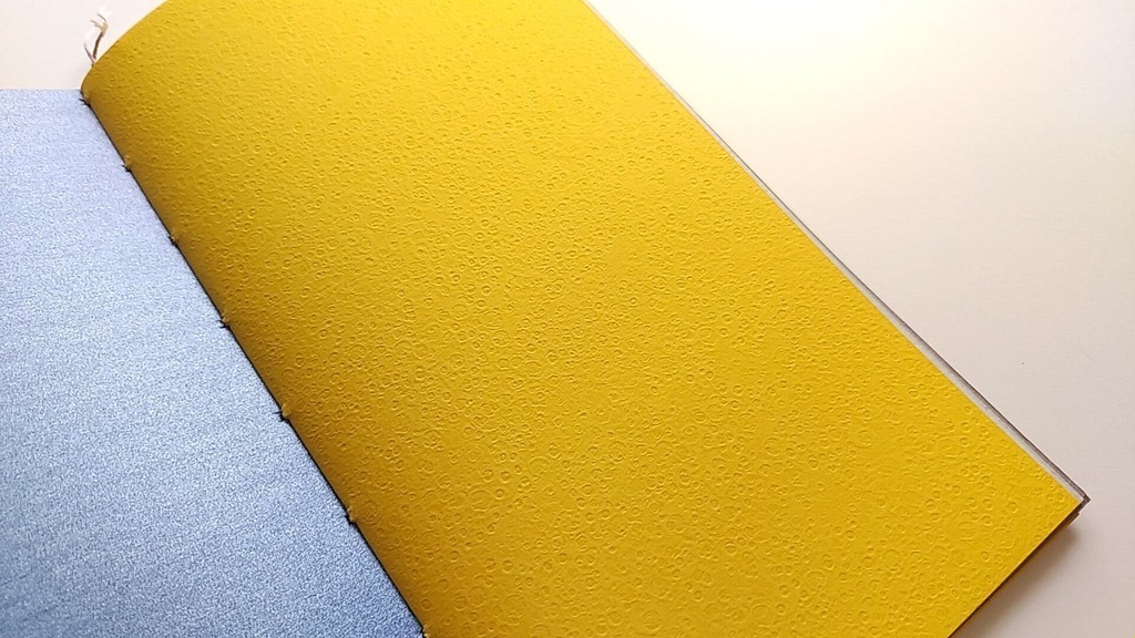 【traveler's レギュラー64P】「野を駆けたい」