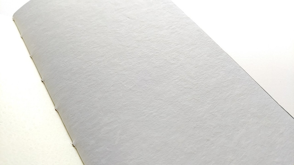 【traveler's レギュラー64P】「Eagle」