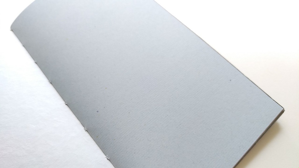 【traveler's レギュラー64P】「Eagle」