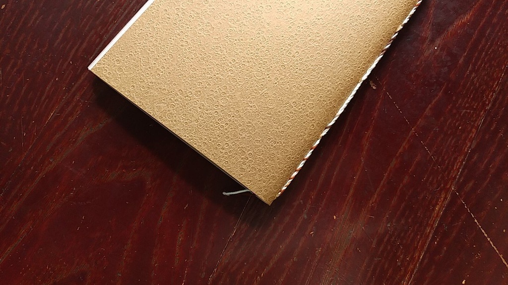 A6ノート「ハンザキ、すまう。」【紙たくさん!ノート】