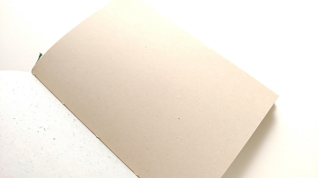 ✒A6ノート「原生林」【紙たくさん!ノート】