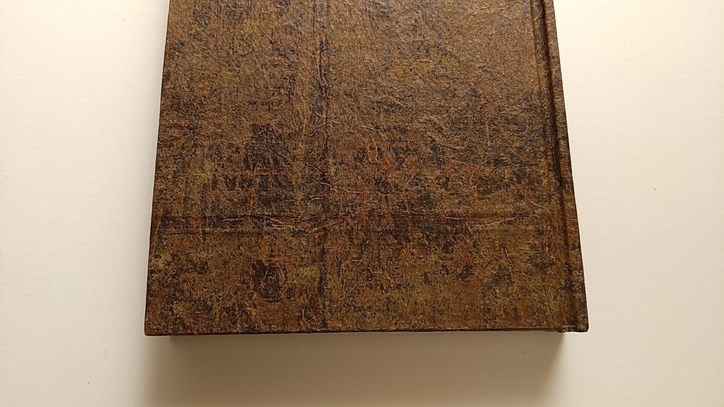 ✒A6ノート「古木のまなざし」【Jフラット】