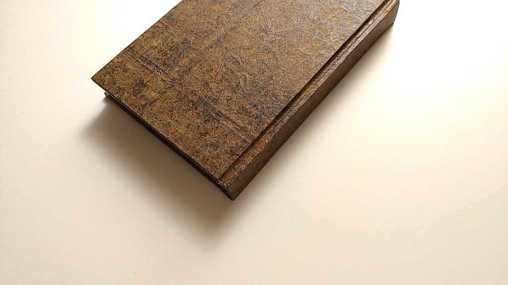 ✒A6ノート「古木のまなざし」【Jフラット】