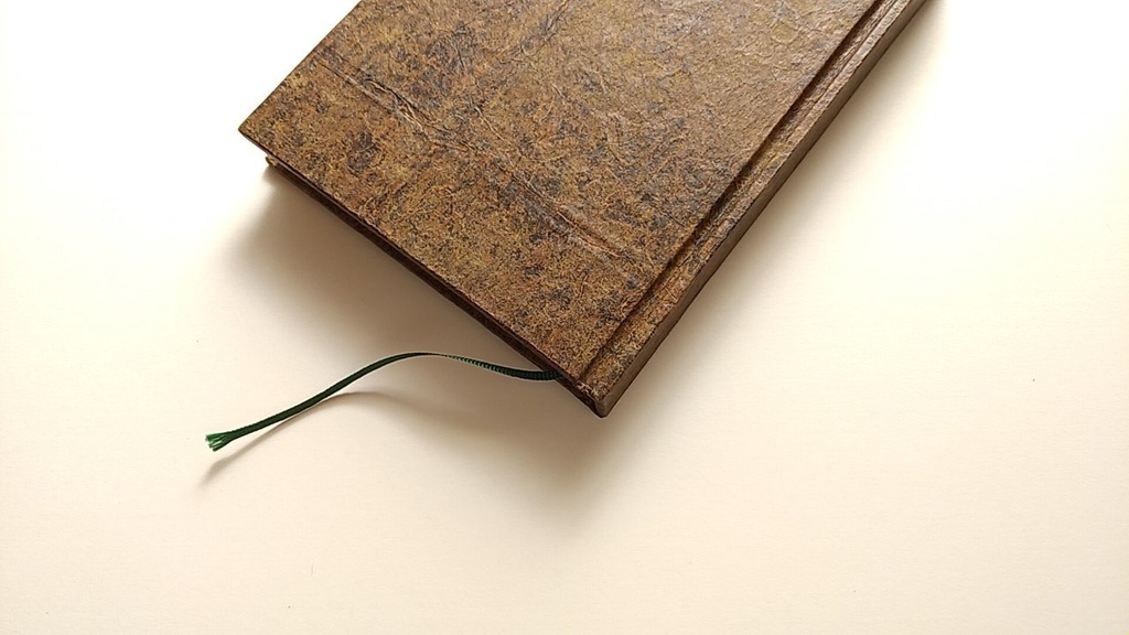 ✒A6ノート「古木のまなざし」【Jフラット】