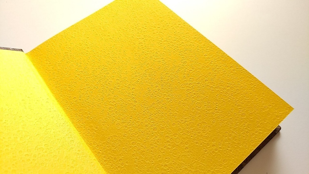 ✒A6ノート「古木のまなざし」【Jフラット】