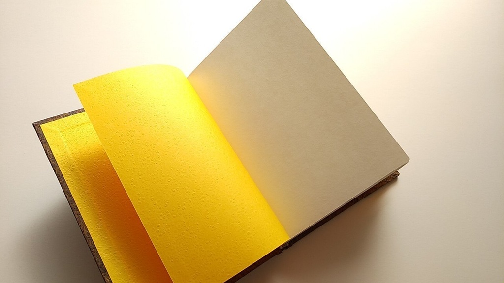 ✒A6ノート「古木のまなざし」【Jフラット】