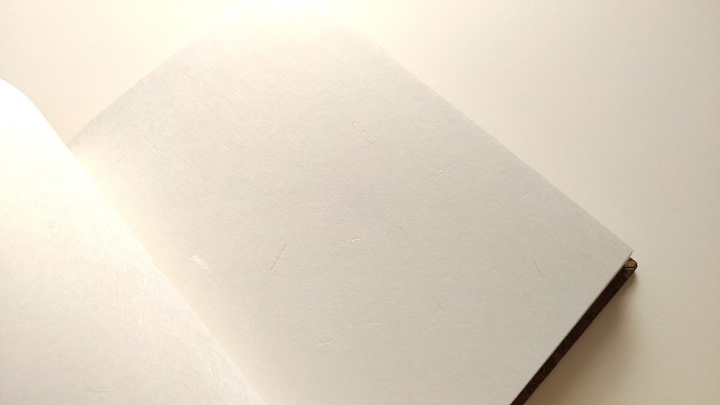 ✒A6ノート「古木のまなざし」【Jフラット】