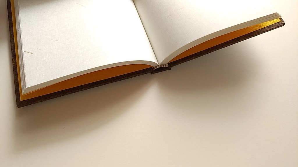 ✒A6ノート「古木のまなざし」【Jフラット】