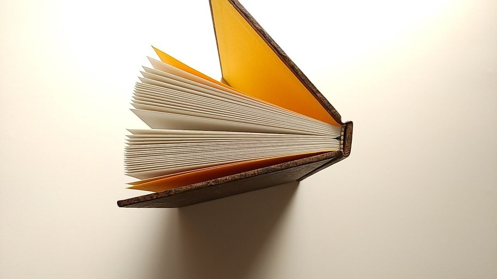 ✒A6ノート「古木のまなざし」【Jフラット】