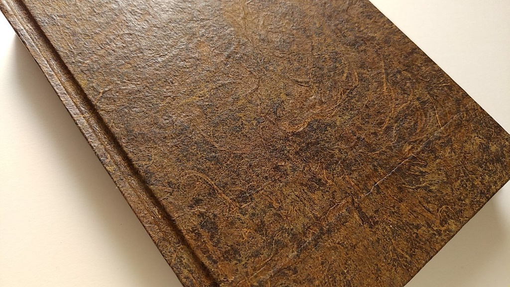 ✒A6ノート「古木のまなざし」【Jフラット】