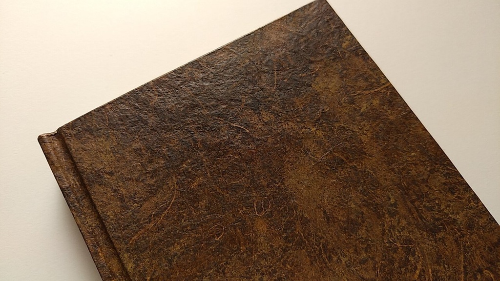 ✒A6ノート「古木のまなざし」【Jフラット】